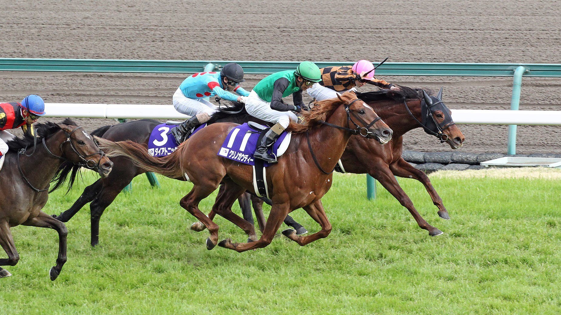 Japan racing exchange
