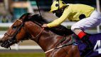 UK horse racing returns