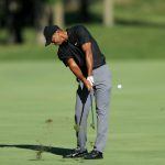 Tiger Woods is King of Memorial Golf Betting, Oddsmakers Welcome His Return