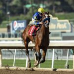 Kentucky Derby Contender Authentic Favored to Win Saturday’s Haskell