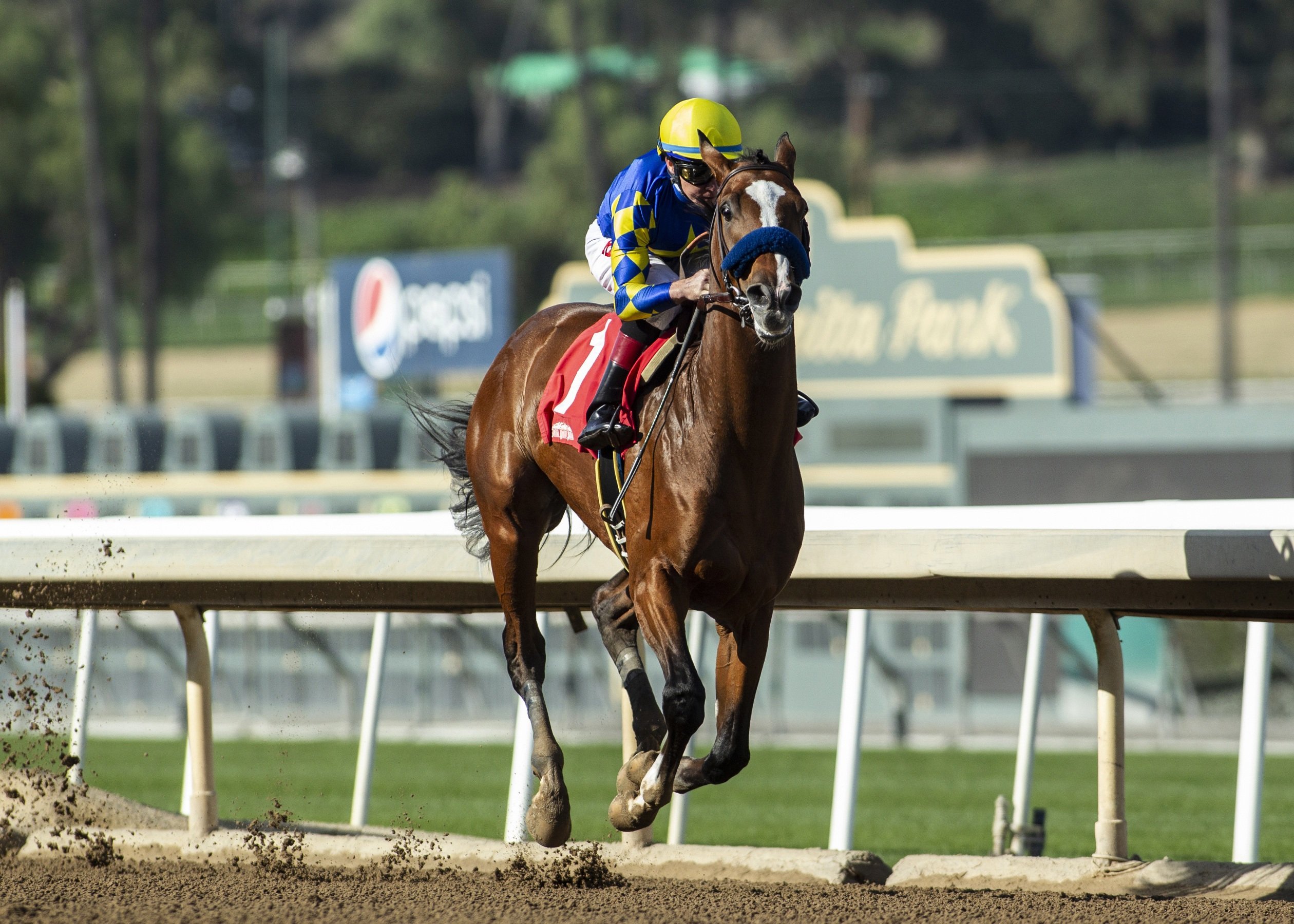 Kentucky Derby Contender Authentic Favored to Win Saturday's Haskell