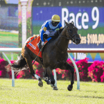 Del Mar Dark This Weekend After 15 Riders Test Positive for COVID-19