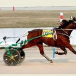 PETA-Backed Harness Racing Bettor Gets $20K Settlement in Lawsuit Over Doped Horse
