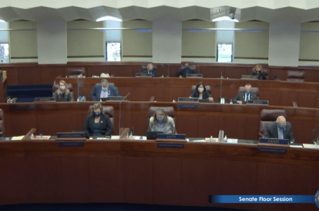 Nevada legislature special session