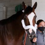 Kentucky Derby 146: Despite Outside Draw, Tiz the Law Tabbed as 3-5 Morning-Line Favorite