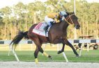 King Guillermo Derby