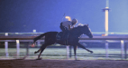 Tiz the Law Kentucky Derby