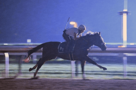 Tiz the Law Kentucky Derby
