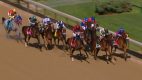 Baffert Gamine