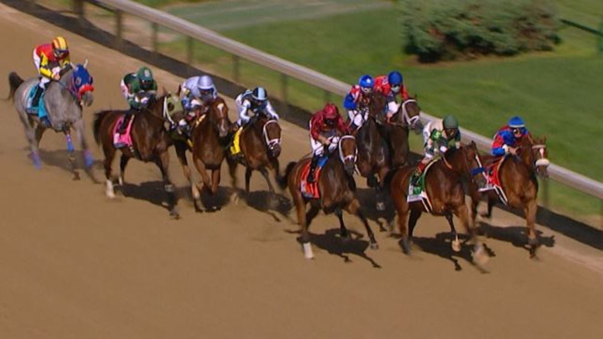 Baffert Gamine