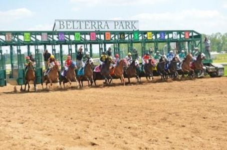 PETA horse racing