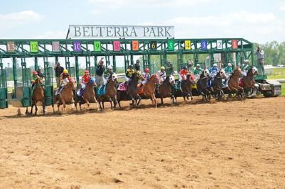 PETA horse racing
