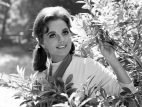 Dawn Wells