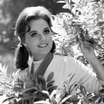 Dawn Wells, Star of ‘Gilligan’s Island’ and Casino Owner’s Daughter, Dies