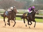 Oaklawn 