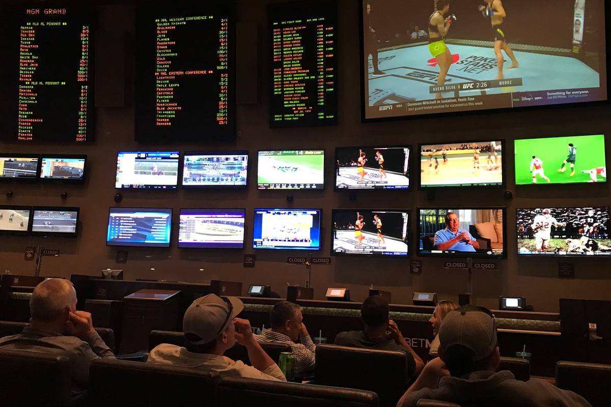 mgm sports book online