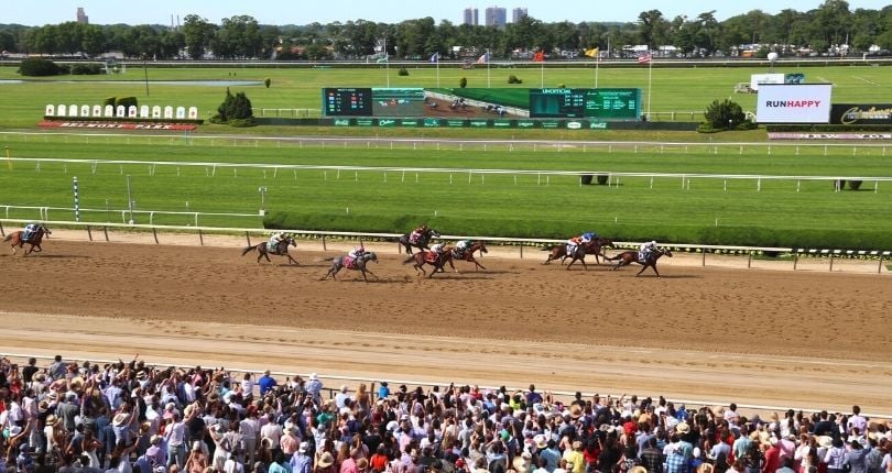 New York horse racing fans