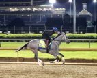 Kentucky Derby Essential Quality