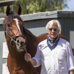 Medina Spirit Run in Preakness Still Debated, Baffert to Skip Race
