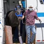 Medina Spirit Early Preakness Favorite, But Bob Baffert’s Horse Must Test Clean to Run