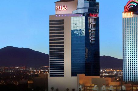 Palms sale