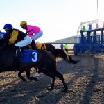 Pennsylvania Casino Revenue Should Benefit Education, Not Horse Racing – Poll