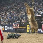 Bull Riders Move Marquee Event from Las Vegas Strip to Texas
