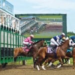 Fixed-Odds Horse Racing Legal in New Jersey Following Gov. Murphy Signature