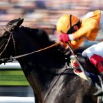PA Media Horse Racing Analyst Cooked Results to Win Bets