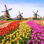Netherlands Online Gaming Licenses Issued, Rogue Platforms Warned to Cease Operations