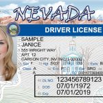 Nevada License Upgrade Delays at Airport Will End Soon for Casino Visitors and Others