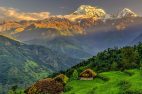 Nepal