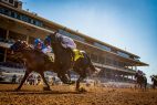 Del mar horse racing