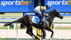 Australian, New South Wales, Horse Racing, Racing, Sports Betting, Fines