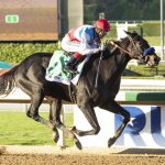 Medina Spirit, Kentucky Derby Winner That Failed Drug Test, Dies After Training at Santa Anita