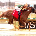 Jockey Mychel Sanchez Suspended After Betting Against Himself in Pennsylvania