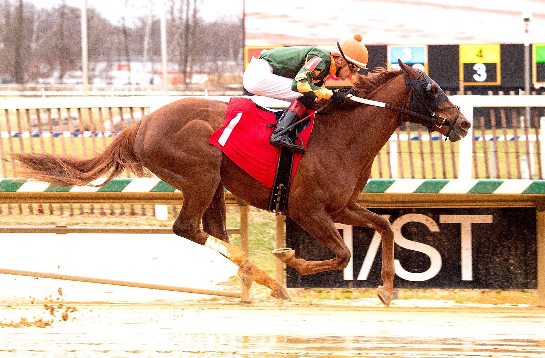 Jockey Mychel Sanchez Suspended After Betting Against Himself at Parx