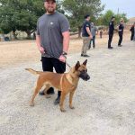 California’s Morongo Casino Scene of Murder Suspect Arrest, Police Dog Injured
