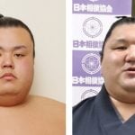 Sumo Wrestlers Jettisoned After Illegal Gambling Probe