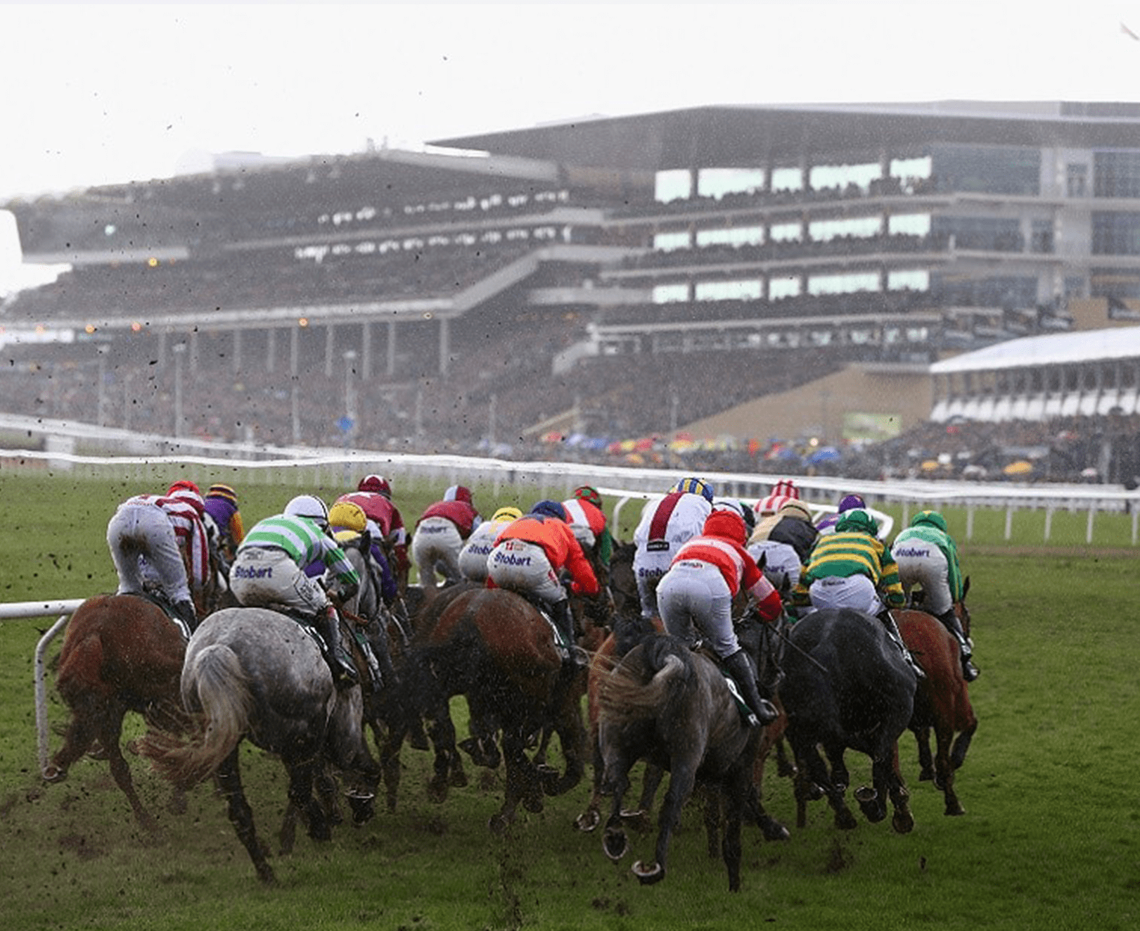 Gold Day at the Cheltenham Festival