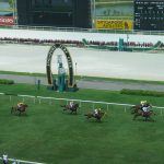 Illegal Horse Betting Activity in Singapore Becoming Endemic Problem