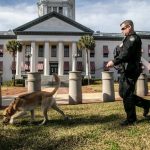 ‘Florida Voters in Charge:’ Authorities Investigating Casino Ballot Petition Fraud