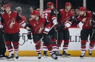 NHL’s Coyotes Want Arizona Gaming Law Altered for Arena Move