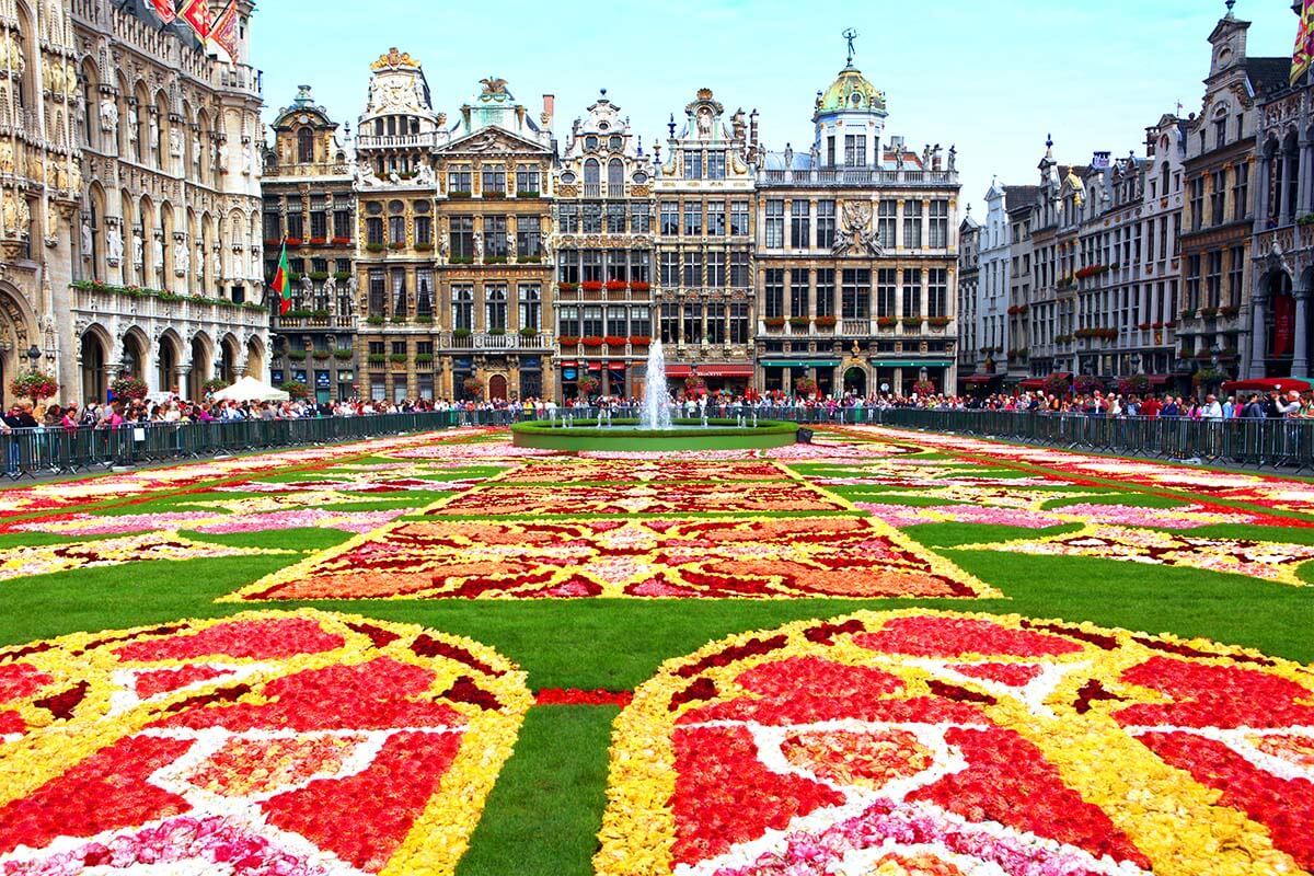 Belgium Flower Carpet