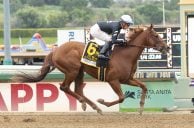 Kentucky Derby Bettors Liking Forbidden Kingdom in Futures Pool