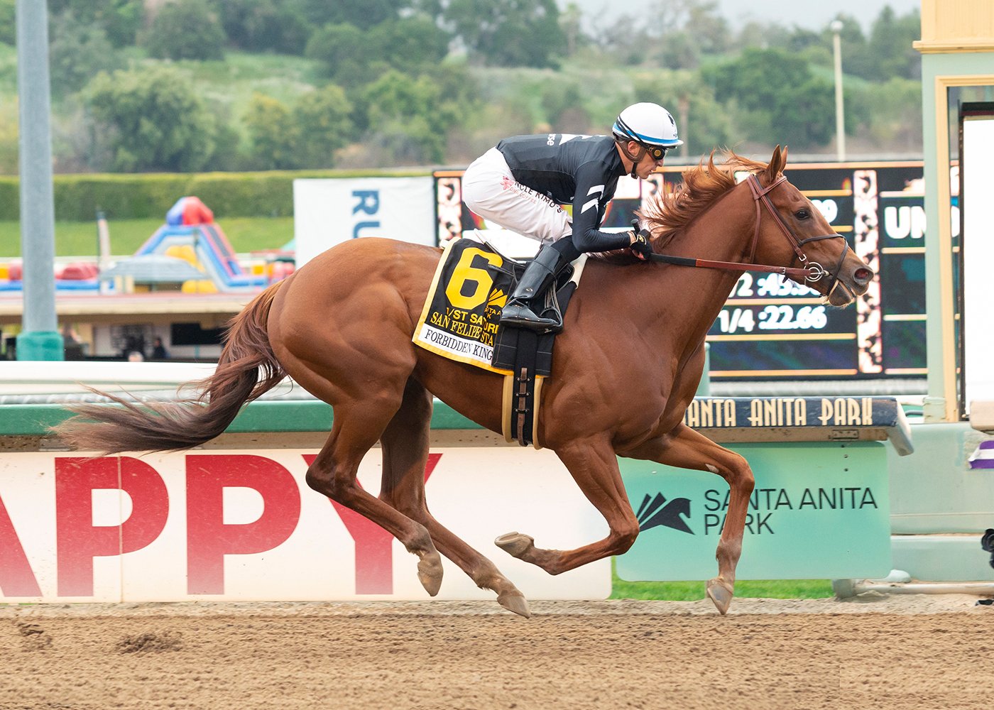 Kentucky Derby Bettors Liking Forbidden Kingdom in Futures Pool