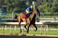 Bob Baffert Sees Odds of Racing in Kentucky Derby, Triple Crown Lengthen