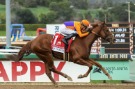 Kentucky Derby Prep: Three Key Races on the Schedule for Saturday