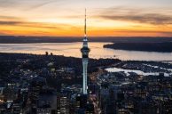 SkyCity Auckland Blasted for Allowing Banned Gambler to Play for 28 Hours Straight