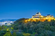 Wakayama Backs Integrated Resort Plans as More Investors Confirmed
